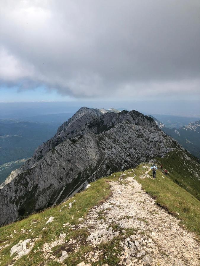 Pensiunea Aliart Zărneşti Zewnętrze zdjęcie