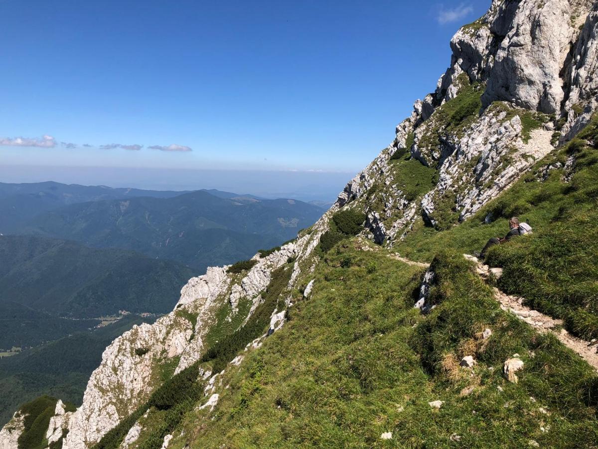 Pensiunea Aliart Zărneşti Zewnętrze zdjęcie